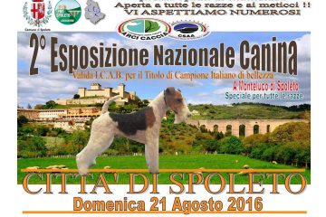 2a Esposizione Nazionale canina Città di Spoleto 2016