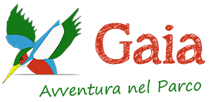 logo_sito_asgaia
