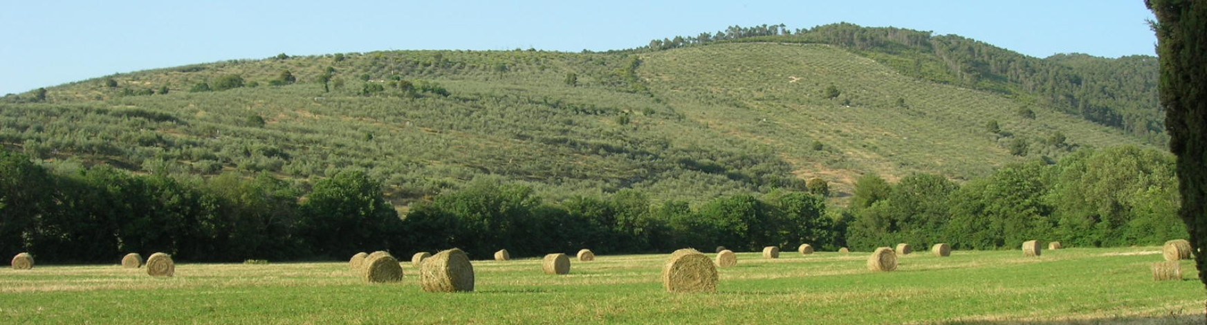 campagna-spoleto